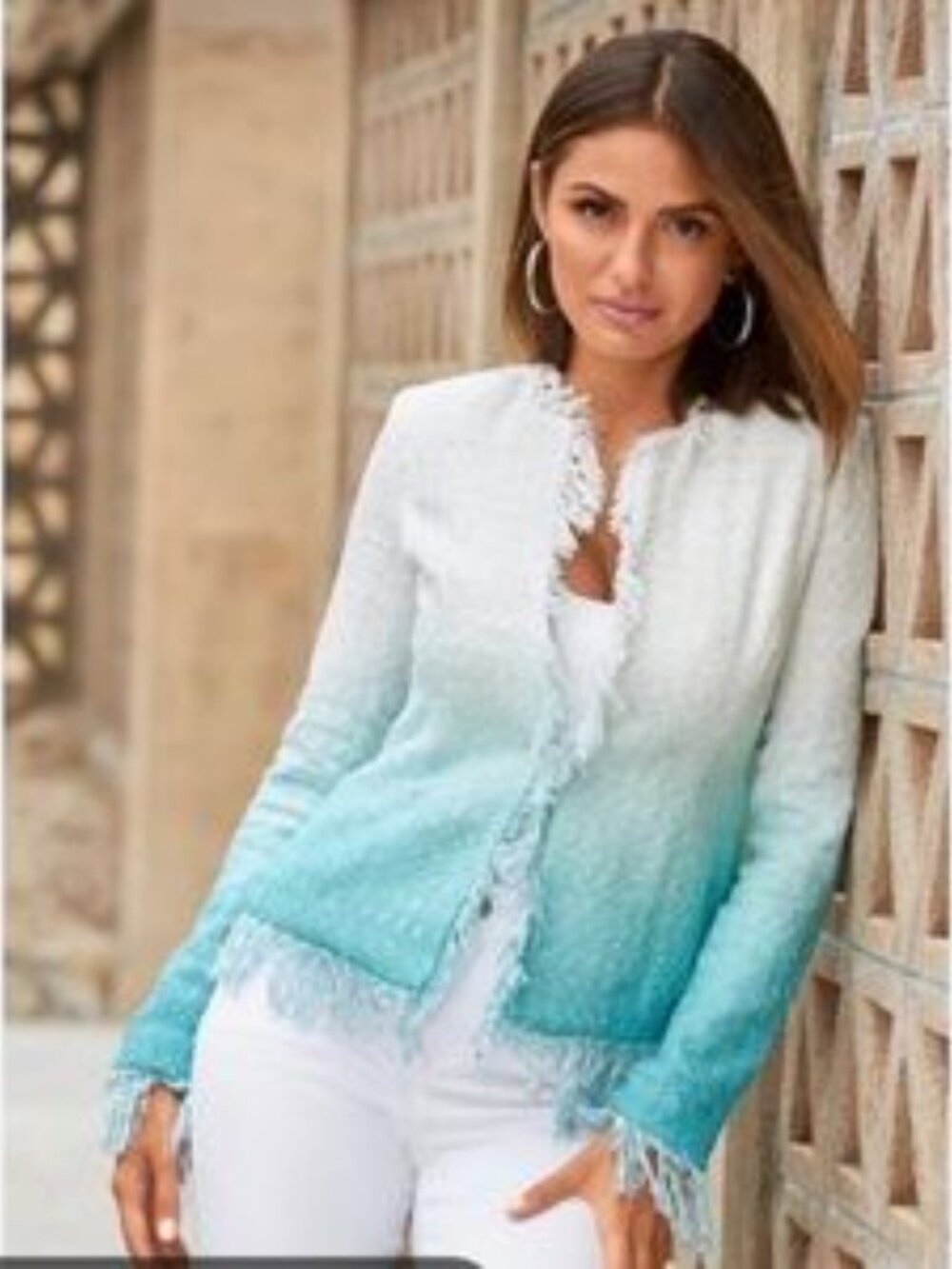 Boston Proper Ombre Tweed Blazer Jacket